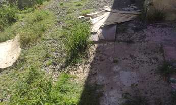 Imagem 3: PORTO ALEGRE - Terreno Padrão - JARDIM FLORESTA