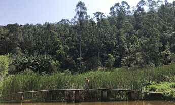 Imagem 3: Chácara de 10 Alqueires