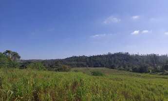 Imagem 5: Área para plantio, com 78000 metros quadrados em Ipelândia - Suzano - SP