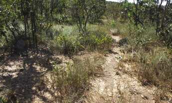 Imagem 4: Terreno de 25 hectares em Curvelo