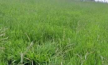 Imagem 2: Sítio Estância Hidromineral de Amparo/SP/BR