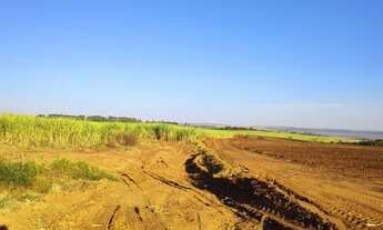 Imagem 5: Fazenda com cana em Santa Maria da Serra