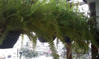 Imagem 7: Apartamento para venda tem 80 metros quadrados com 3 dorms no Centro - Guarulhos - SP