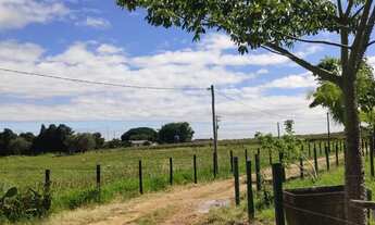 Imagem 1: Lote para chácara na estrada de Indaiatuba / Monte Mor. Excelente localização