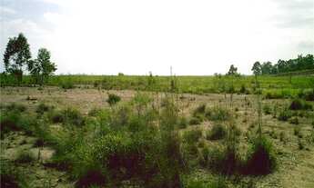 Imagem 3: Área Industrial à venda, Macuco, Valinhos - AR0019