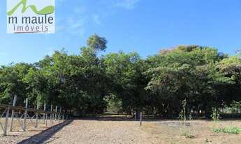 Imagem 7: Chácara com 2 dormitórios à venda, 3765 m² por R$ 475.000 - Sobradinho - Adolfo/São Paulo