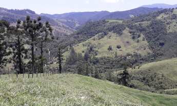 Imagem: Fazenda/Sítio/Chácara para venda com 290400