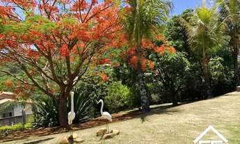 Imagem 6: Ótima opção de chácara pertinho da cidade - Socorro SP