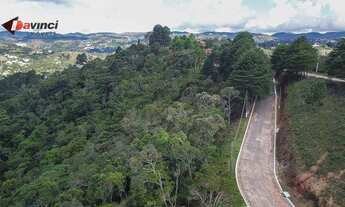 Imagem 4: Área à venda, 1000 m² - Recanto Araucária - Campos do Jordão/SP