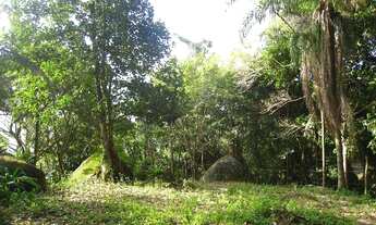 Imagem 3: Terreno vista mar - Veloso -Ilhabela