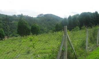 Imagem 4: Fazenda/Sítio/Chácara para venda possui 600 metros quadrados com 4 quartos