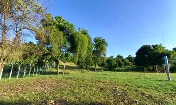 Imagem 6: Terreno em Pirapama - Cabo de Santo Agostinho