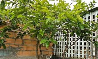 Imagem 3: Casa para venda tem 450000 metros quadrados com 3 quartos em Centro - Urubici - SC