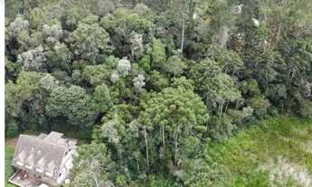 Imagem 3: Terreno 1.385m2 Lagoas Da Yara (descansópolis) R$49.999,00 à vista aceito carro