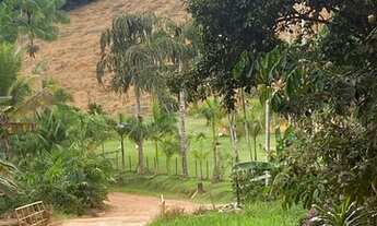 Imagem 4: Vendo sítio 2 km do centro santa Leopoldina