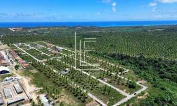 Imagem 3: Área de 40.000m² para venda em Jequiá da Praia - AL