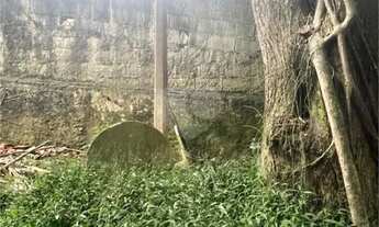 Imagem 7: Vendo Terreno de 290m2 rua do Horto para sua casa ou investimento