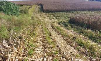 Imagem: Lotes de 500m ²