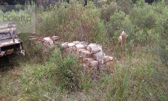 Imagem 3: Sítio à venda, 100000 m² - Morro Agudo - Gravataí/RS