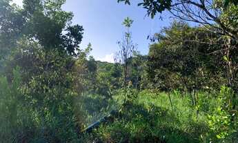 Imagem 3: Lote de 14 mil metros a beira da estrada de Trancoso/Caraiva