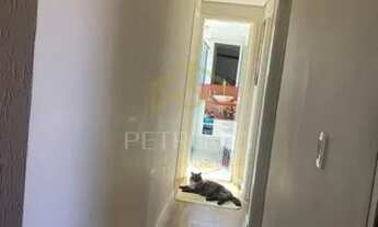 Imagem 4: Apartamento à venda em Ponte Preta