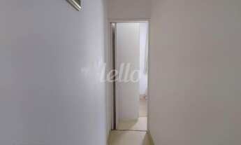 Imagem 6: São Paulo - Casa Padrão - Belém