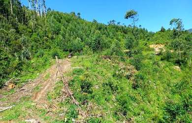 Imagem 7: ANITÁPOLIS/SC - Ótimo terreno com 11.5hectares