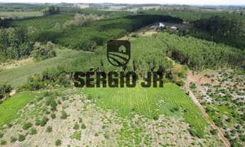 Imagem 4: Sítio com 7,9h, cabana, casa e piscina em Triunfo