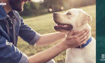 Imagem 7: Apartamento para venda possui 154 metros quadrados com 4 quartos em Horto Florestal - Salv