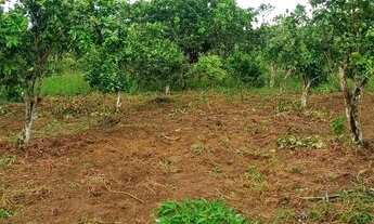 Imagem 4: Vendo excelente sitio Em jaguaripe