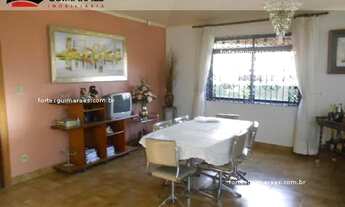 Imagem 7: Ribeirão Preto - Casa - Alto da Boa Vista