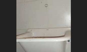 Imagem 3: Duas casas de 1 quarto cada, na Taquara, Condomínio fechado