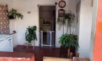 Imagem 3: Casa para Locação em São Paulo, Vila Curuçá, 1 dormitório, 1 banheiro