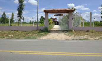 Imagem 4: Vendo Chácara às margens da AL-135, entre Maravilha e Ouro Branco