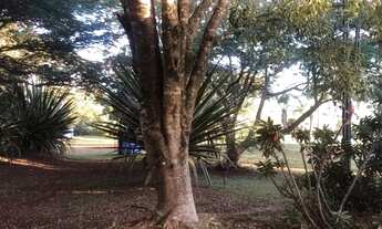 Imagem 5: Fazenda / Sítios / Chácaras com 2 dormitórios à venda em Campos Gerais