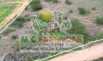 Imagem 2: Fazenda à Venda em Ribeira do Amparo - BA