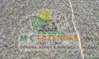 Imagem 7: Fazenda à Venda em Ribeira do Amparo - BA