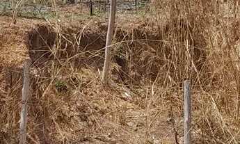 Imagem: Lotes no bairro jardim serra azul em mateus