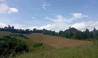 Imagem 3: Terreno Rural 7,5 alqueires