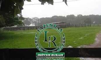 Imagem 7: Fazenda 83.5 Alqueires Vale do Araguaia