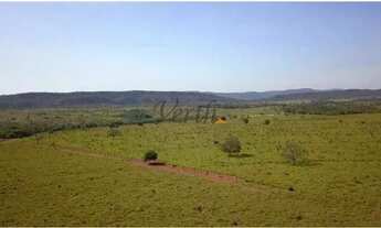 Imagem 7: Fazenda em Unaí - Minas Gerais, à venda com 537ha - Dupla Aptidão