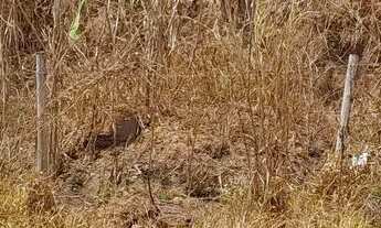 Imagem 5: Lotes no bairro jardim serra azul em mateus leme