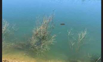 Imagem 2: Rancho no Rio Curumba