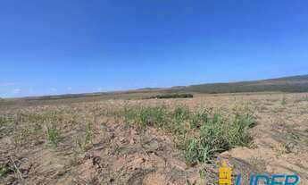 Imagem 6: Excepcional fazenda dupla aptidão com 3.529 hectares e muito bem estruturada à venda em Sã