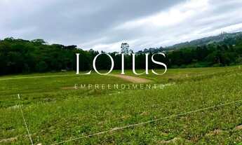Imagem 1: LOTES EM COTIA COM BELA PAISAGEM NATURAL