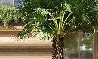 Imagem 7: Apartamento à venda no Brickell com 1 quarto e 36m²