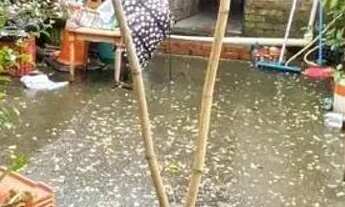 Imagem 6: Terreno 11 x 30 com 2 casas