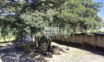 Imagem 2: Lote Venda TROPICAL