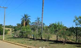 Imagem 4: Chácara em lugar paradisíaco, facil acesso e seguro por ótimo preço!