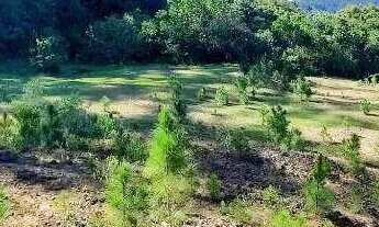 Imagem 6: Oportunidade de Terreno à venda, 9090 m² por R$ 1.700.000 - Canasvieiras - Florianópolis/S